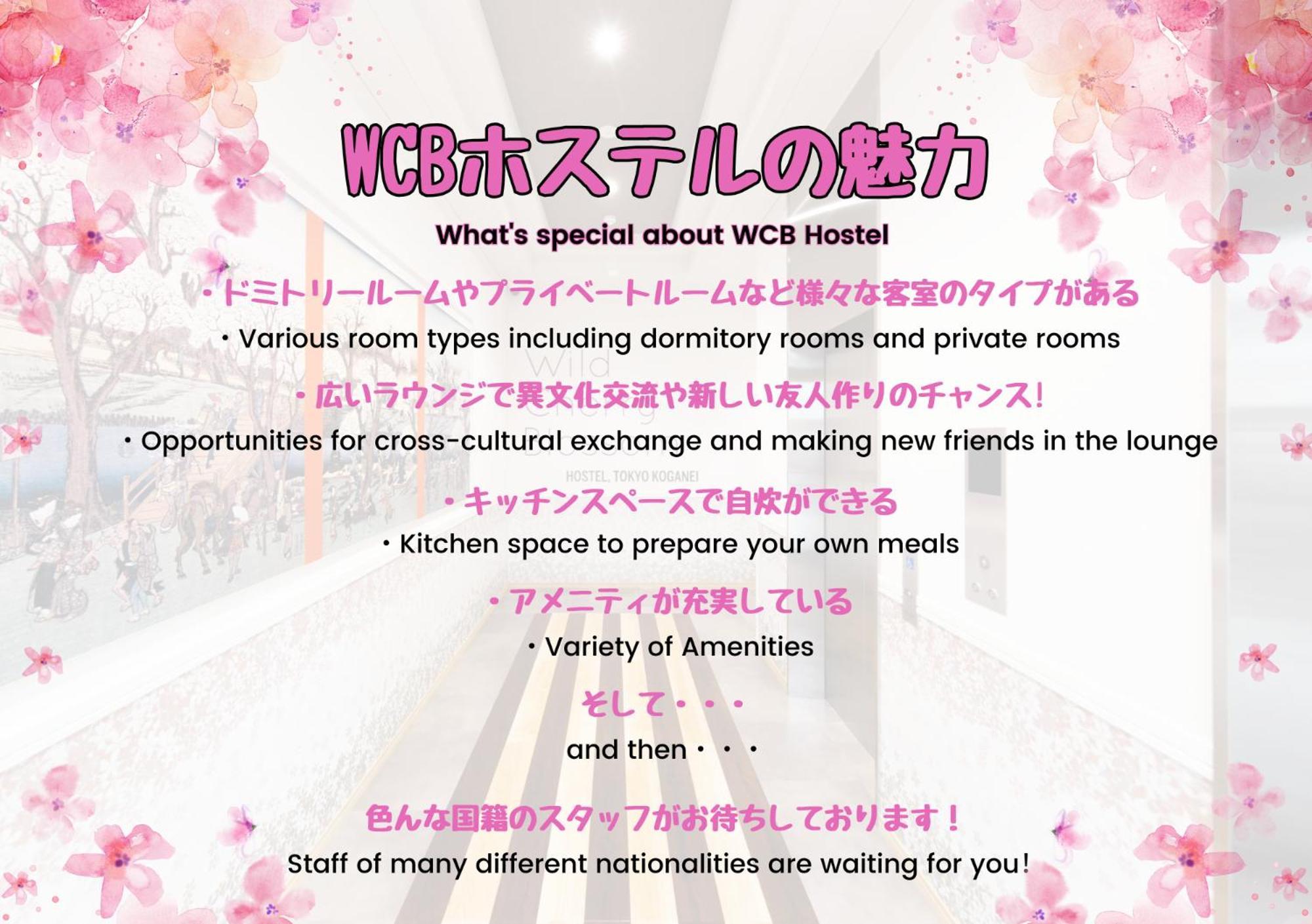Wild Cherry Blossom-Hostel,Tokyo Koganei- Esterno foto